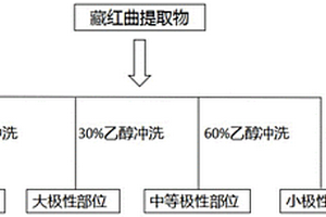 藏紅曲的質量控制方法和構建方法