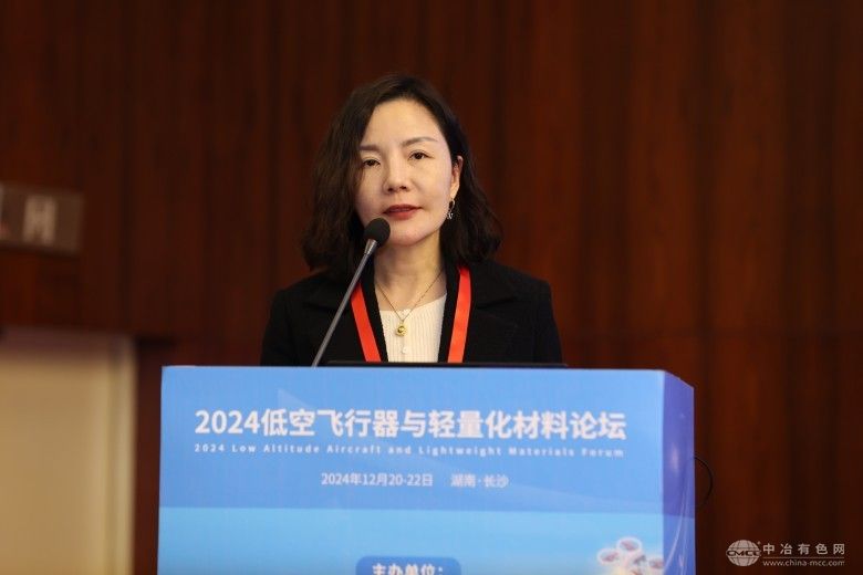 2024低空飛行器與輕量化材料論壇 現(xiàn)場照片