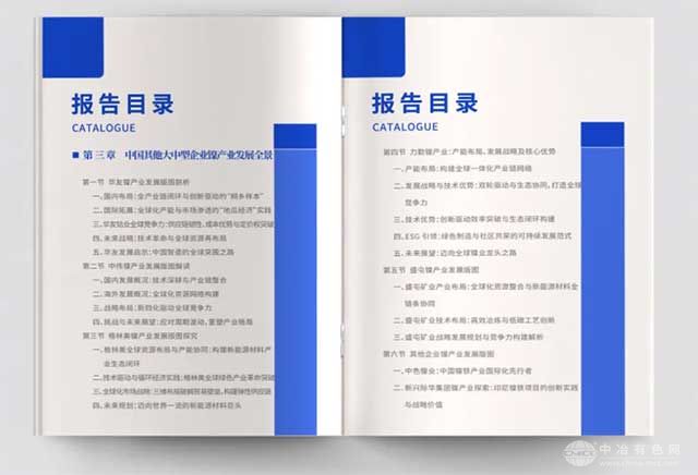 中國鎳企業(yè)全球競爭力發(fā)展報(bào)告