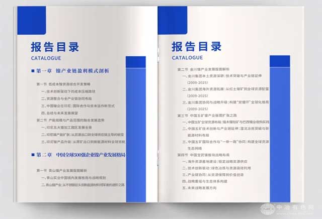 中國鎳企業(yè)全球競爭力發(fā)展報(bào)告